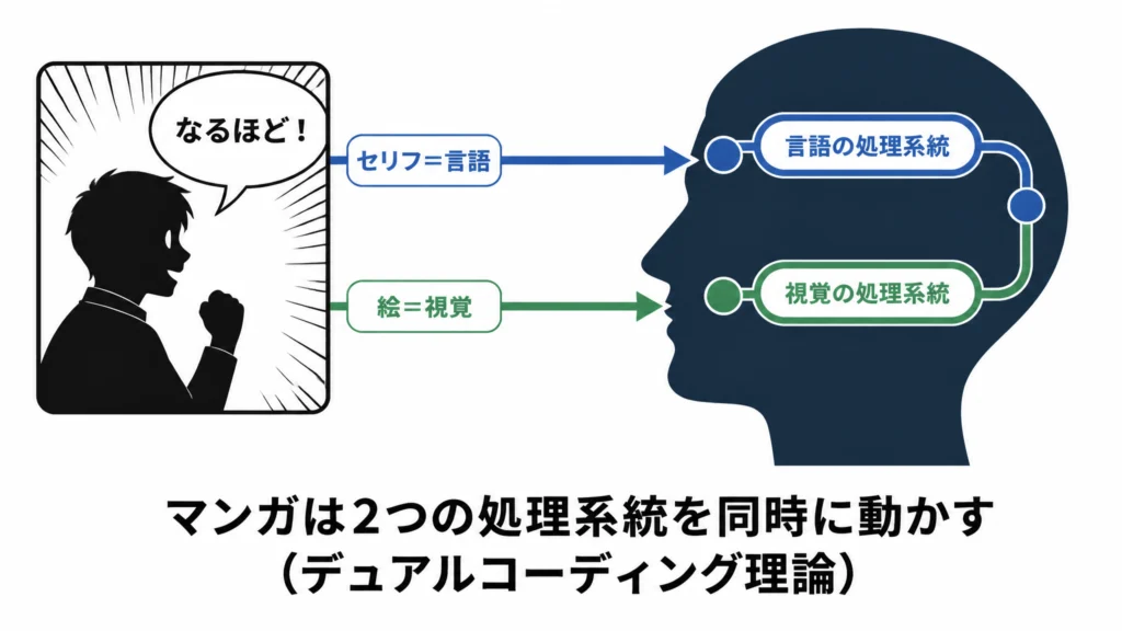 マンガのセリフが言語の処理系統へ、絵が視覚の処理系統へ同時に届くデュアルコーディング理論の図解