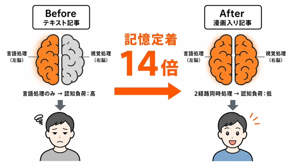 テキスト記事と漫画入り記事における脳内処理の違いを示すBefore-After図解。テキストのみでは言語処理経路のみ使用、漫画入りでは言語処理と視覚処理の2経路を同時使用